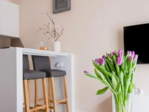 Apartament Bimba & Free Parking, photo 6 of 10