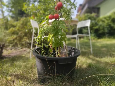 2-room, garden, close to the center, photo 4 of 7