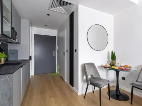 Cityview Room Apartment Plac Wolności 6 in the Center of Poznań Old Town, photo 9 of 10