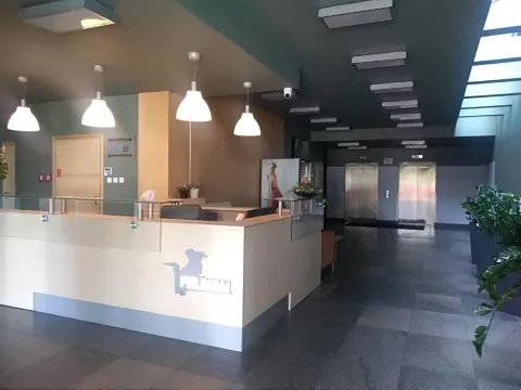 Apartment Pelikan with View, photo 4 of 10