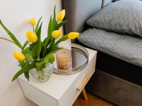 Apartament Strzelecka 19, photo 8 of 10