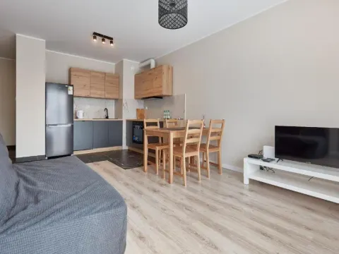 Poznań Airport Homely Apartment by BookingHost, photo 9 of 10