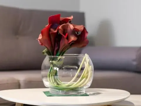 Marcelin Estate Apartments by Noclegi Renters, photo 5 of 10