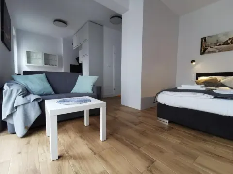 Apartamenty Garbary 32 z klimatyzacja - air-conditioning, photo 2 of 10