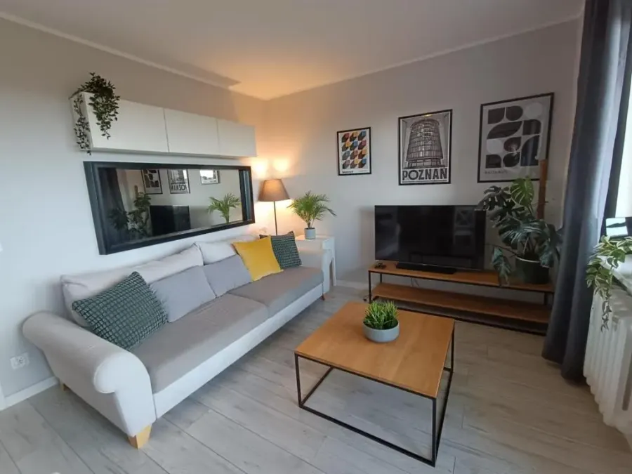 Apartament Jawornicka 7 / Grunwald, photo 1 of 10