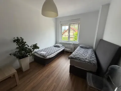 Lotta 2, photo 6 of 10