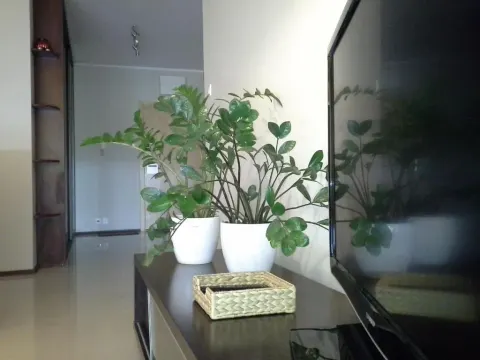 Apartment Pelikan with View, photo 7 of 10