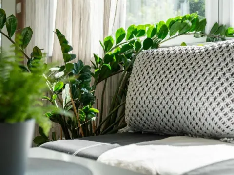 Nature & Green Apartment Poznań by Noclegi Renters, photo 7 of 10