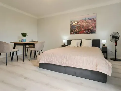 Pyza Apartments With Parking Zgoda 30 Poznan, photo 7 of 10