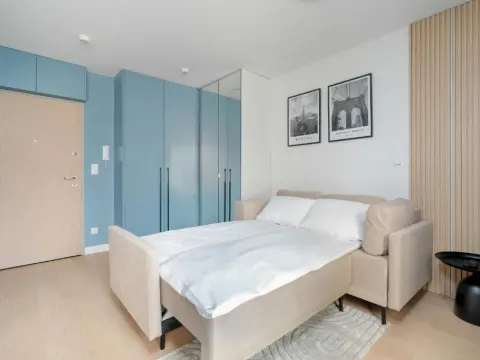 Pastel Blue Studio Grunwald with Garden & Parking Poznań by Noclegi Renters, photo 9 of 10