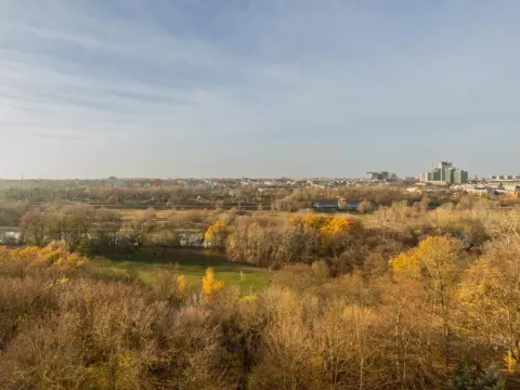 Apartment Near the Warta River by Noclegi Renters, photo 3 of 10