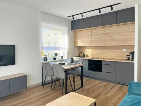 Poznań Wilda -Apartament Fabryczna, photo 4 of 10